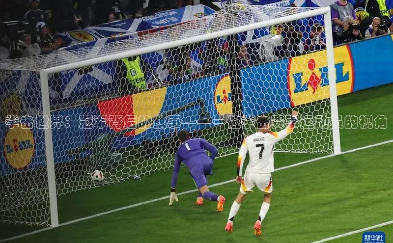 贝博官网下载普信公司拳击世界：冠军背后的故事——一位拳击赛事运动员的视角