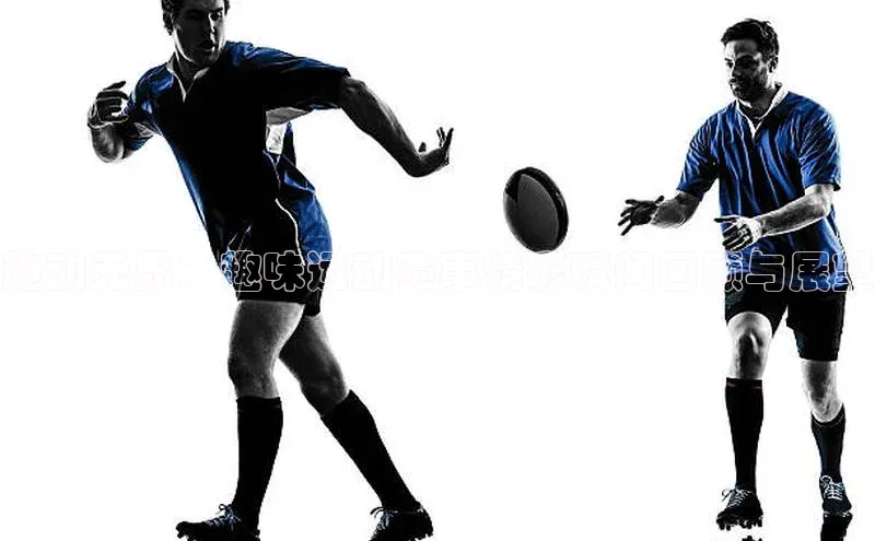 趣动无界：趣味运动赛事精彩瞬间回顾与展望