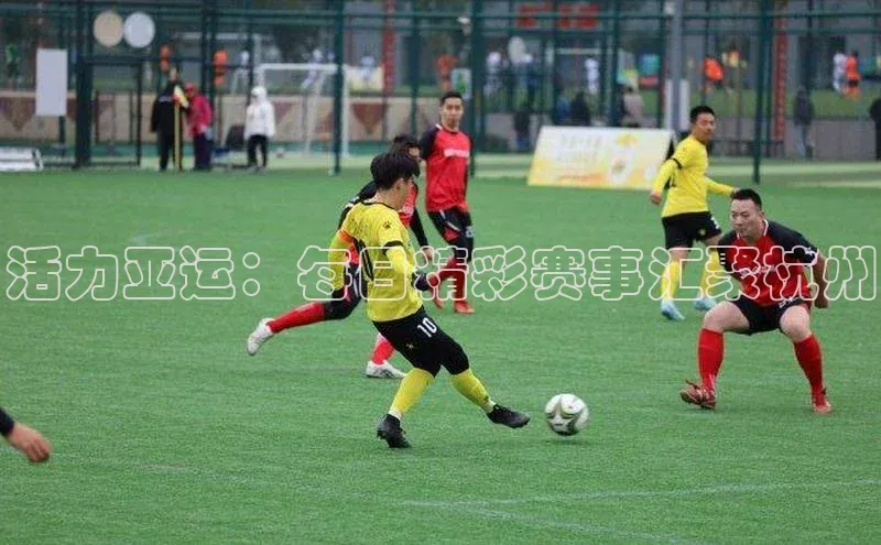 活力亚运：每日精彩赛事汇聚杭州