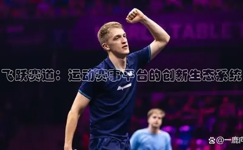 飞跃赛道：运动赛事平台的创新生态系统