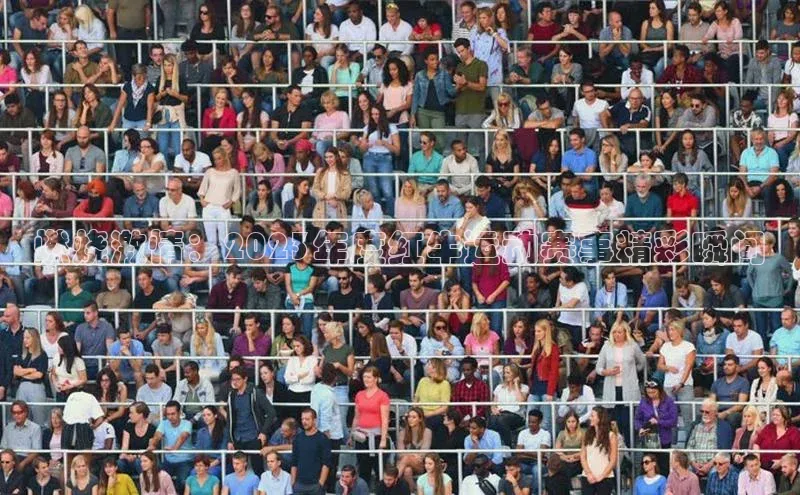 燃烧激情：2023年度红牛运动赛事精彩瞬间