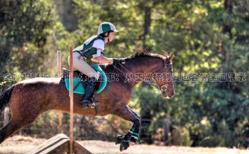 全球视野下的中国体育盛事：从亚洲杯到奥运会的全面展示