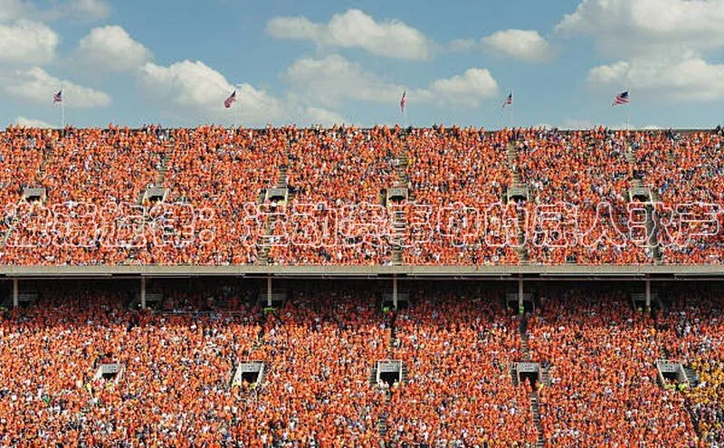 激荡旋律：运动赛事中的感人歌声