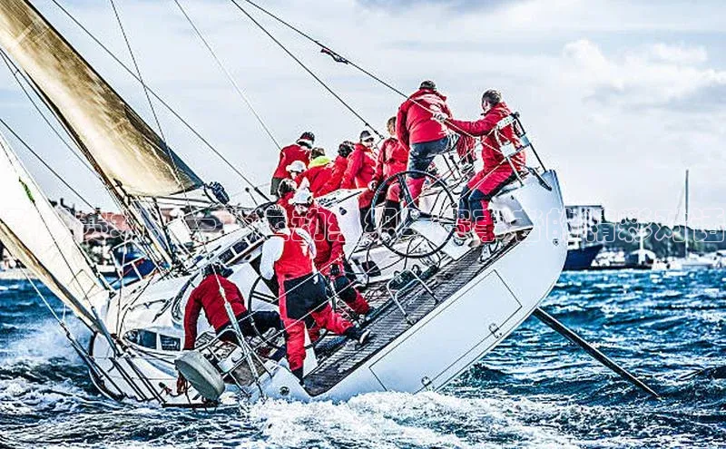 飞跃赛场：一场运动组织与赛事者的精彩对话