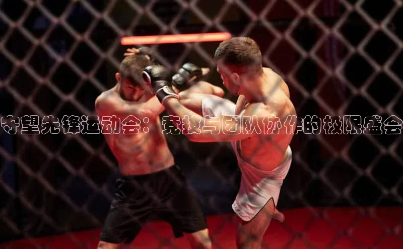 守望先锋运动会：竞技与团队协作的极限盛会