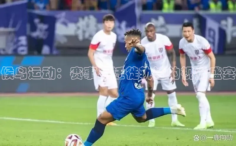 候鸟运动：赛事与迁徙轨迹的视觉盛宴