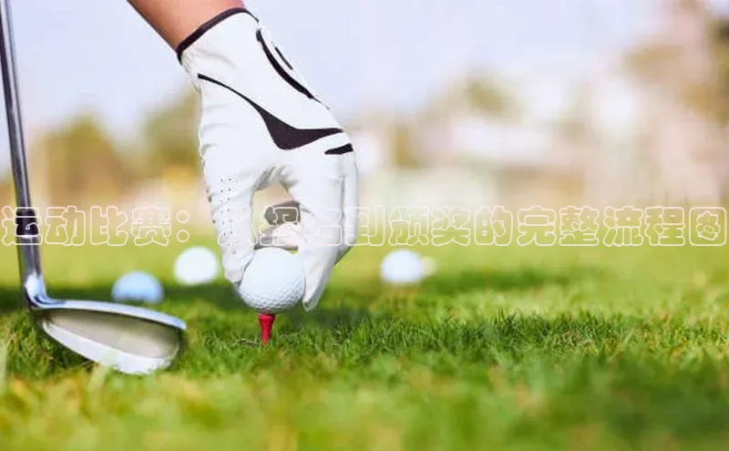 运动比赛：从报名到颁奖的完整流程图