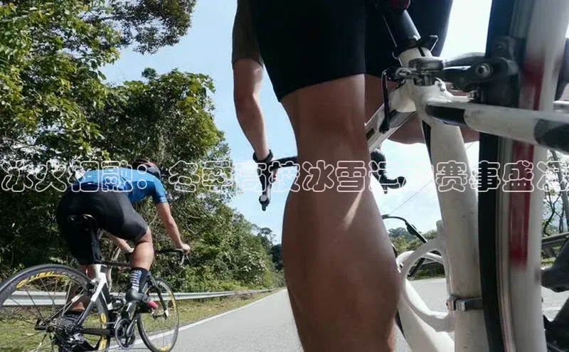 冰火相融：冬季高校冰雪运动赛事盛况