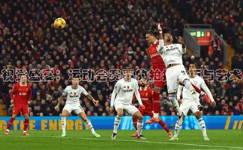 贝博betball体育app下载