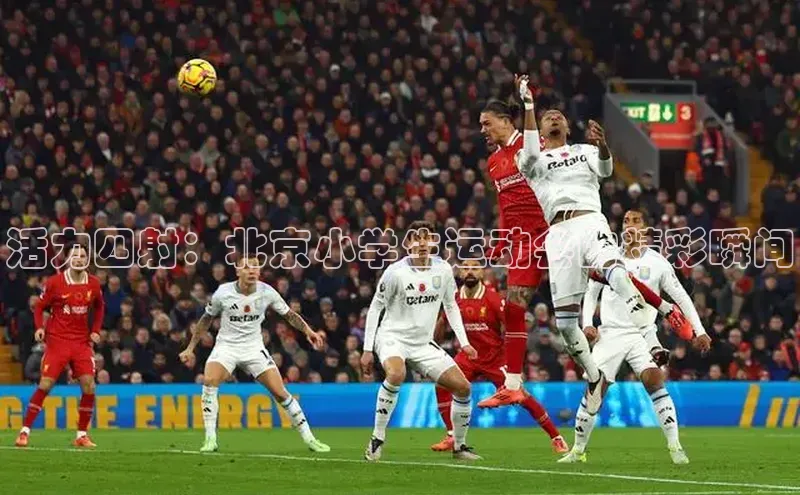 betball贝博app下载