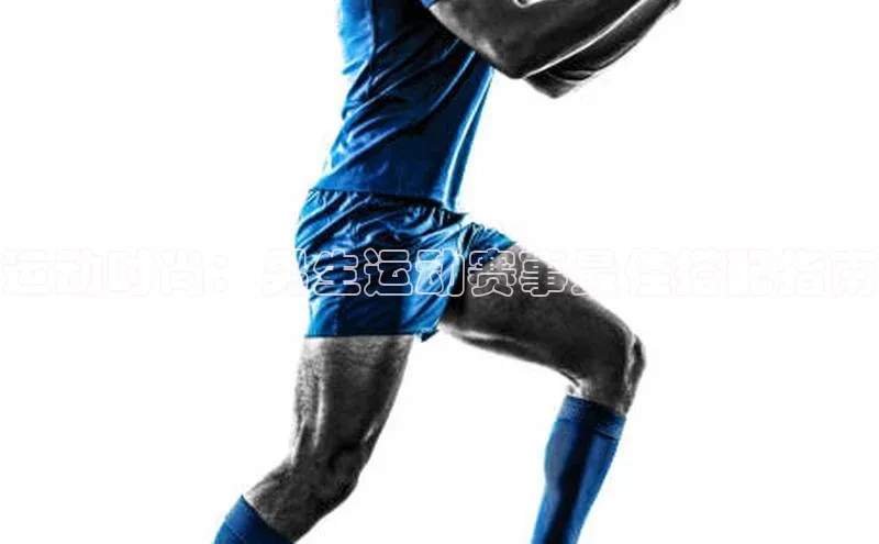 贝博app体育下载安装